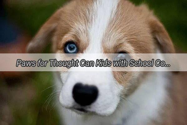 Paws for Thought Can Kids with School Commitments Still Enjoy the Joy of Dog Ownership